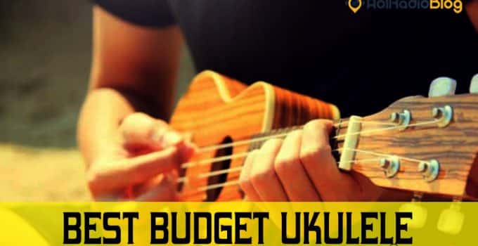 Best budget ukulele