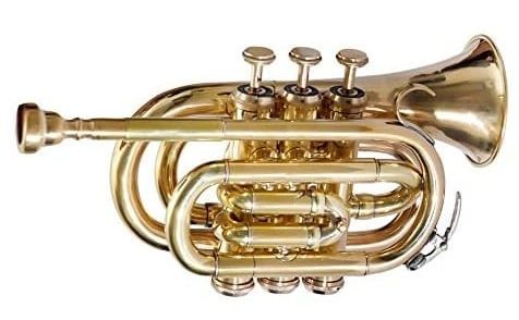  Nasir Ali PoTr-05 - best pocket trumpet