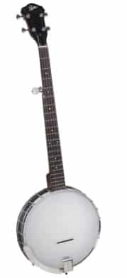  Rover RB-20  - best beginner banjo