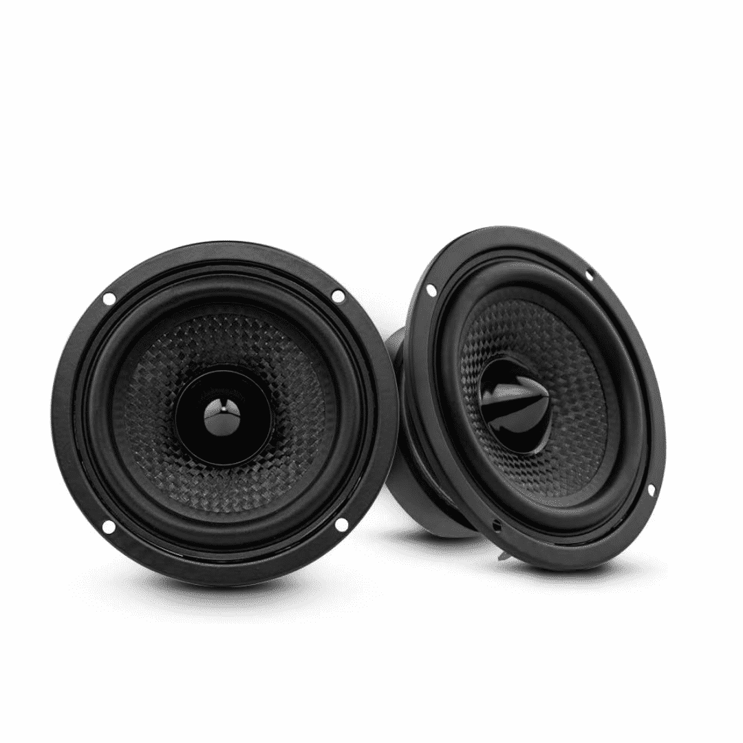 DS18 - best full range speakers