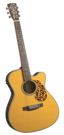 Blueridge BR-163CE - best acoustic guitar under 1500
