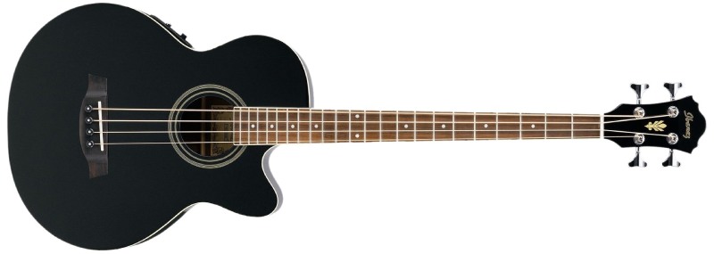 ACOUSTIC-ELECTRIC BASS GUITAR